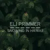 Eli Primmer - Snowing In Hawaii - EP
